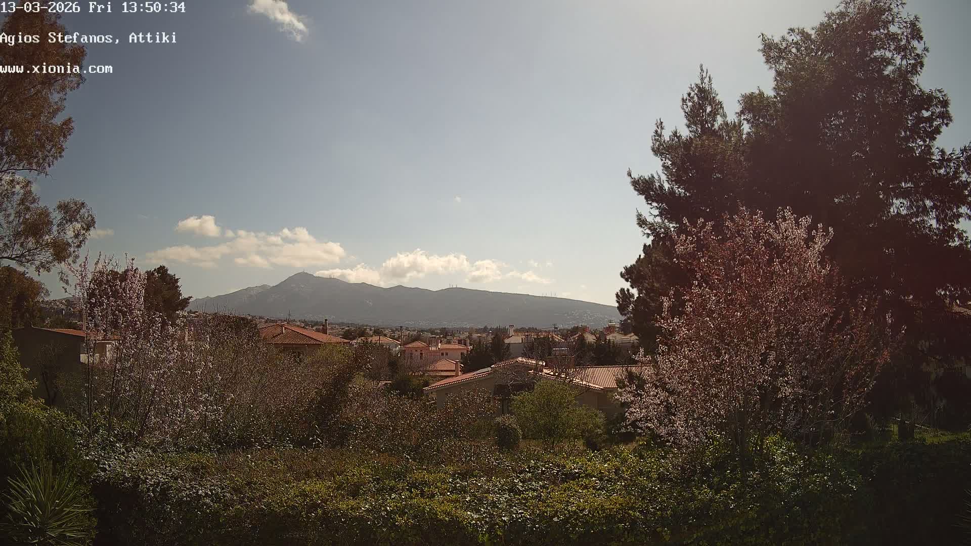 Dionysos, Agios Stefanos Skyline & Mount Pentelicus (Pentéli Óros) Live Cam  - Dasos Kouremenou, Ágios Stéfanos, Diónysos, East Attica (Anatolikís Attikís) , Athens (Athína), Attica (Attikí), Greece