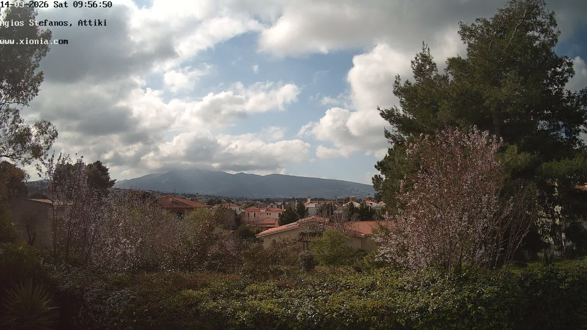 Dionysos, Agios Stefanos Skyline & Mount Pentelicus (Pentéli Óros) Live Cam  - Dasos Kouremenou, Ágios Stéfanos, Diónysos, East Attica (Anatolikís Attikís) , Athens (Athína), Attica (Attikí), Greece