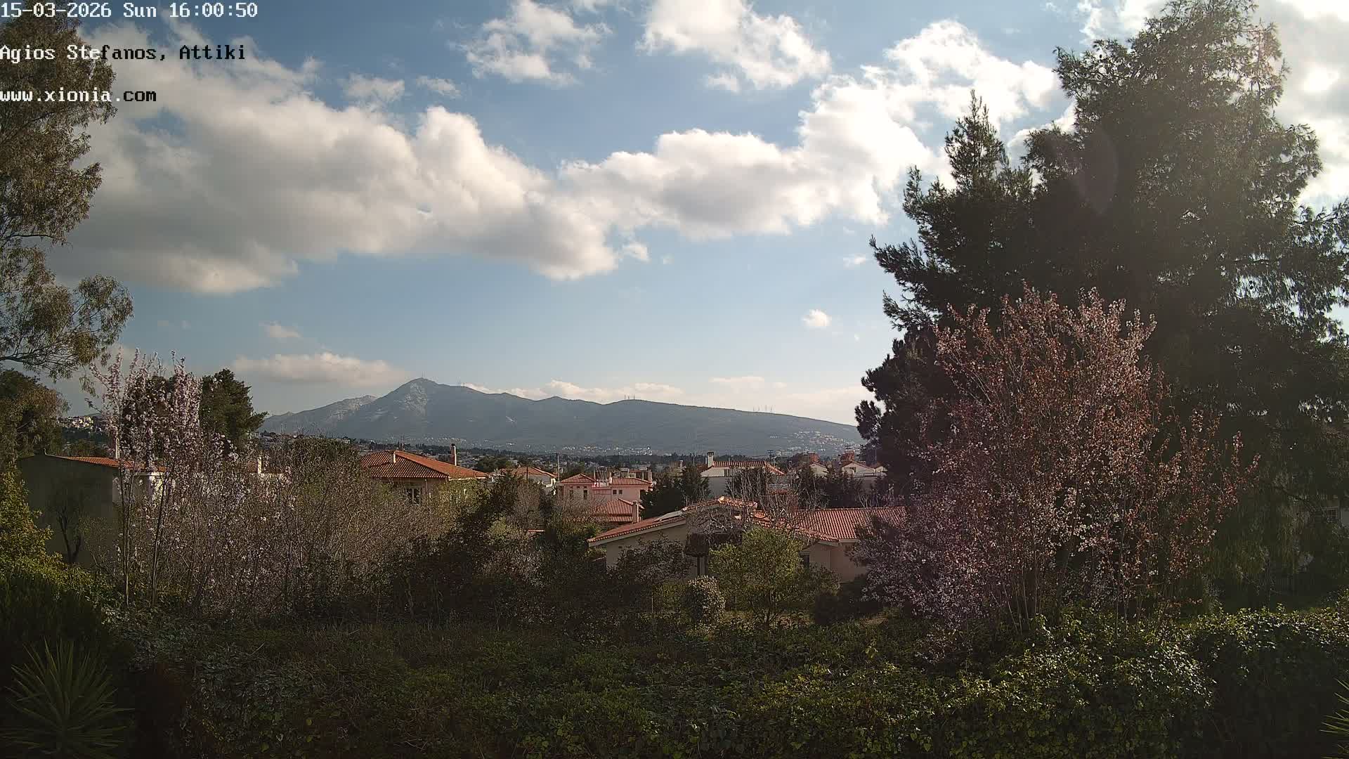 Dionysos, Agios Stefanos Skyline & Mount Pentelicus (Pentéli Óros) Live Cam  - Dasos Kouremenou, Ágios Stéfanos, Diónysos, East Attica (Anatolikís Attikís) , Athens (Athína), Attica (Attikí), Greece
