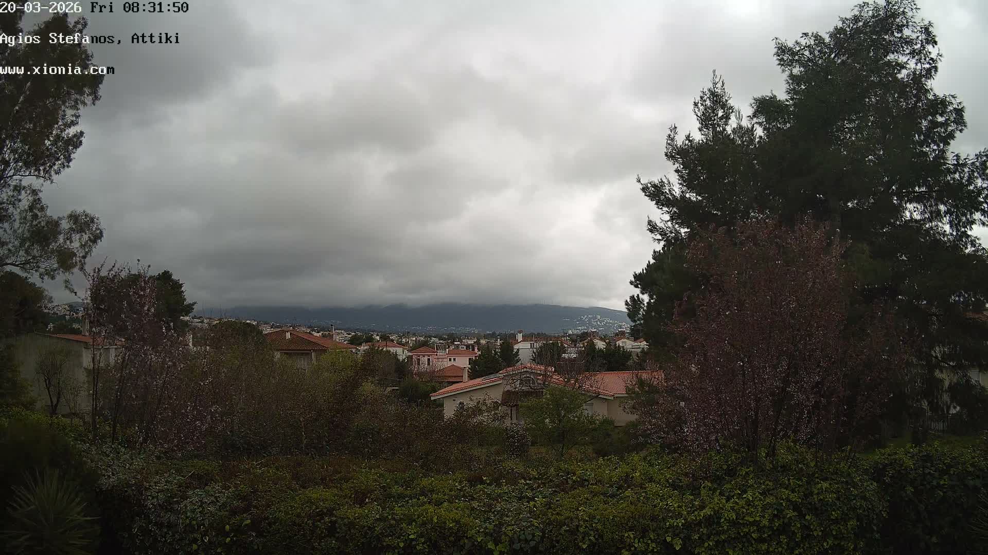 Dionysos, Agios Stefanos Skyline & Mount Pentelicus (Pentéli Óros) Live Cam  - Dasos Kouremenou, Ágios Stéfanos, Diónysos, East Attica (Anatolikís Attikís) , Athens (Athína), Attica (Attikí), Greece