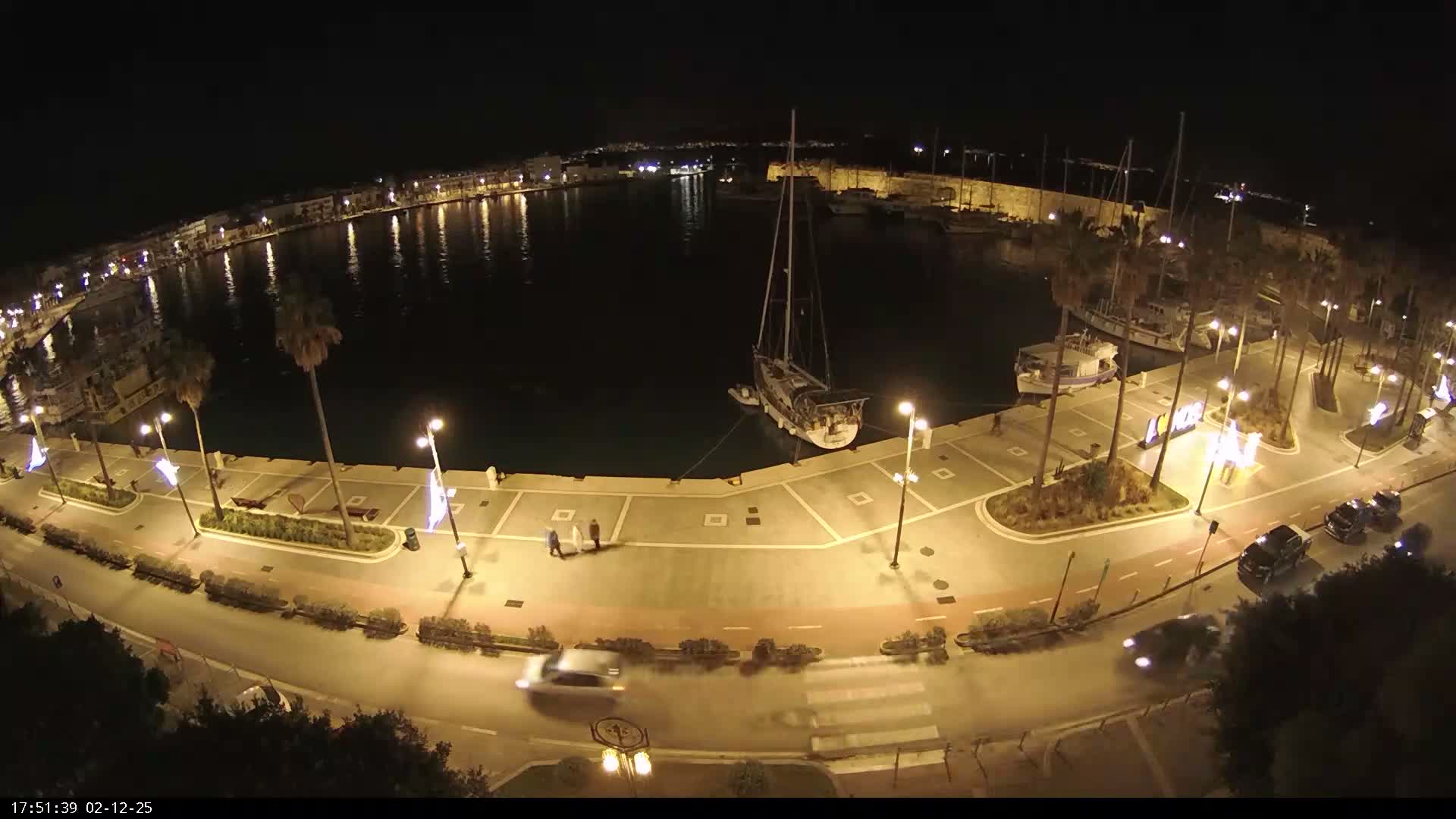 An elevated night view captures a crescent-shaped harbor filled with boats, its wet perimeter lined with illuminated palm trees, streetlights, buildings, and moving cars, all reflecting on the damp pavement.