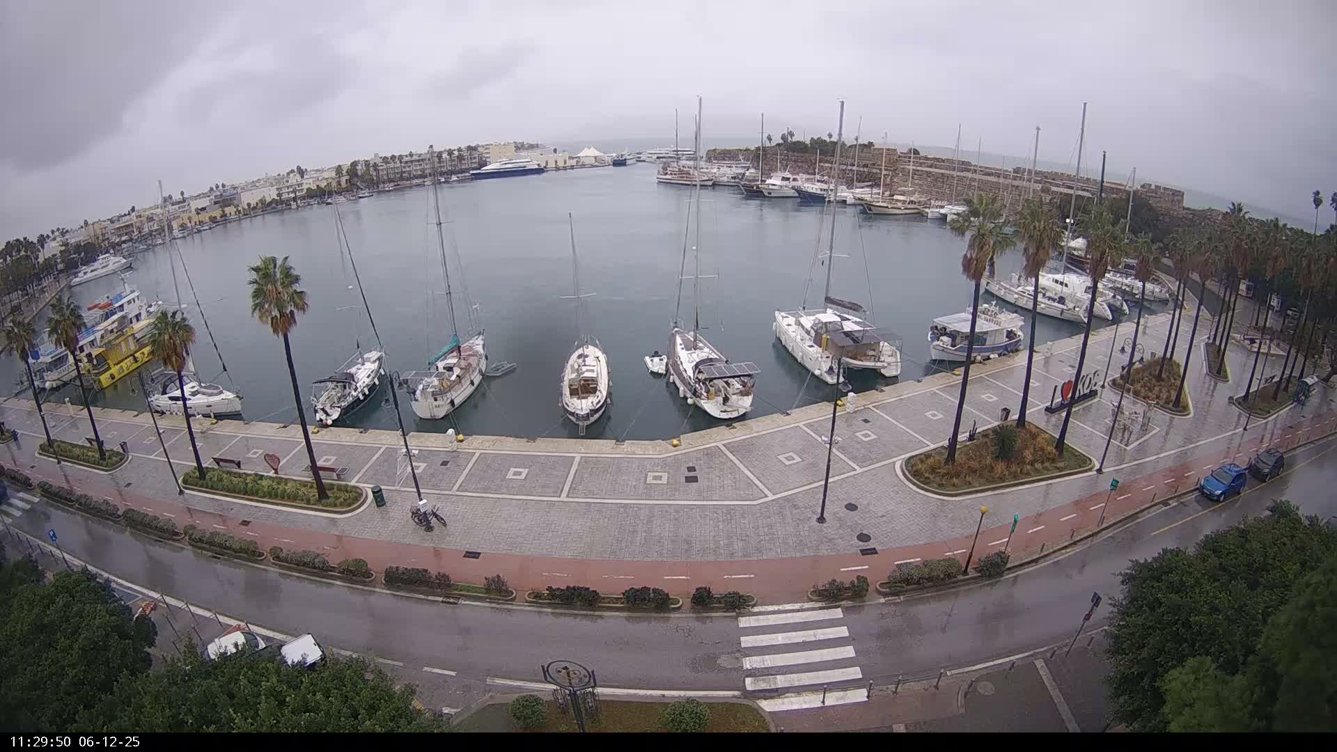 Under an overcast sky, a curved harbor crowded with various boats is flanked by a wet, palm-lined promenade and street, with buildings and a historic stone wall in the background.