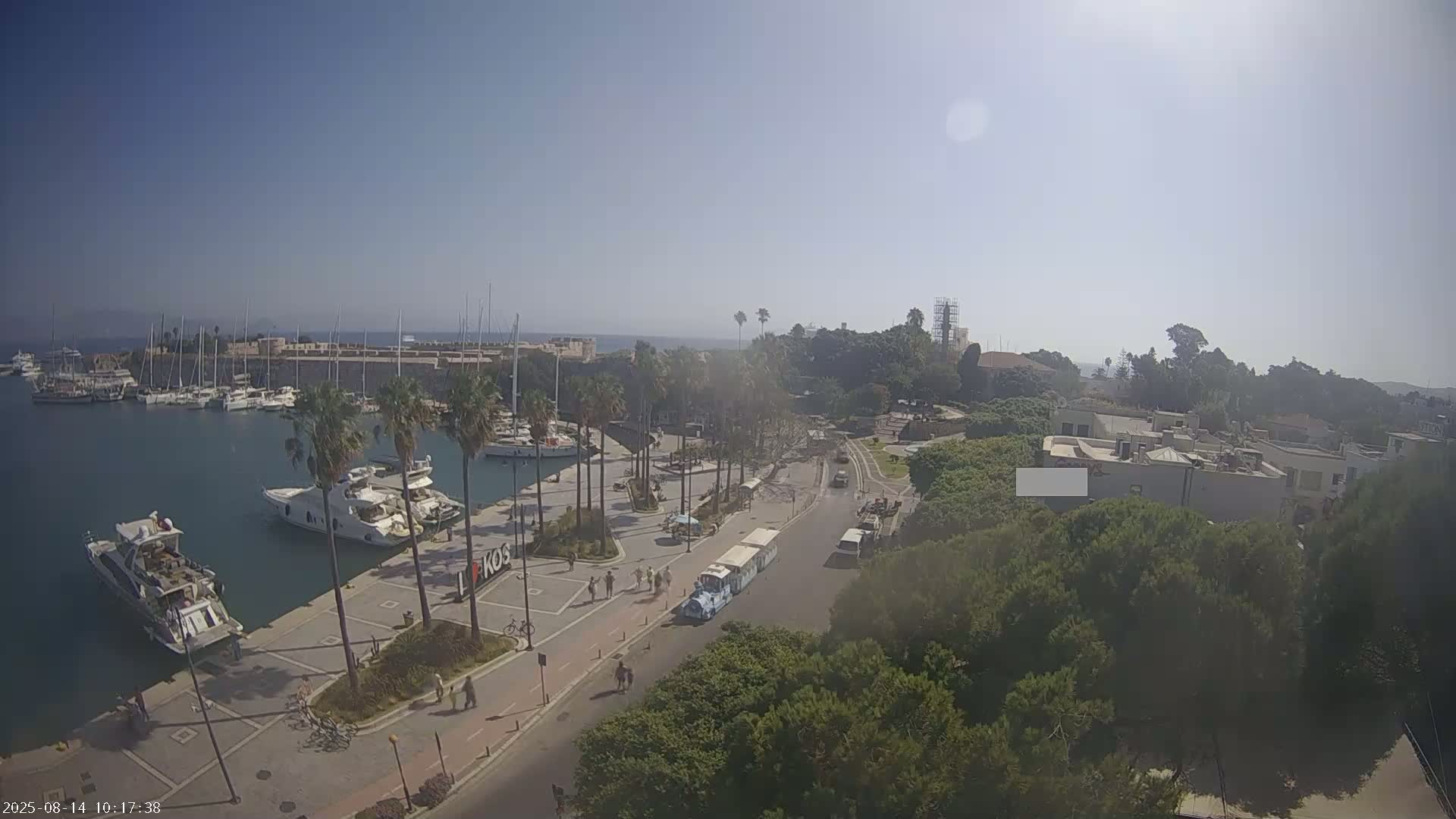 A harbor filled with boats is seen from an elevated viewpoint on a sunny day, with palm trees lining a paved area next to a road where a tourist train is traveling.