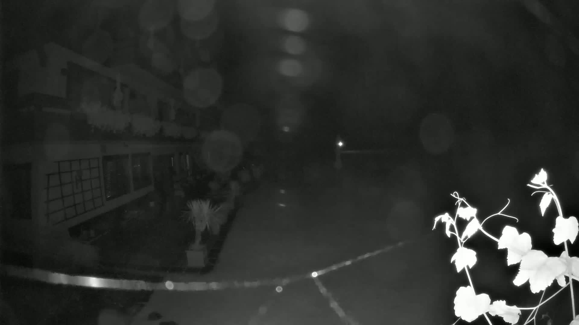 Berg im Drautal, GolfHotel Berghof & Drautalgolf Field Live Cam - Tratten, Berg im Drautal, Spittal an der Drau, Carinthia, Austria