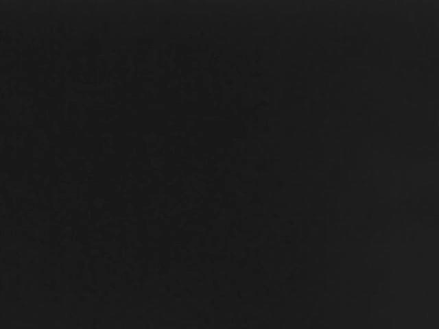 The image displays a uniform, solid black field.