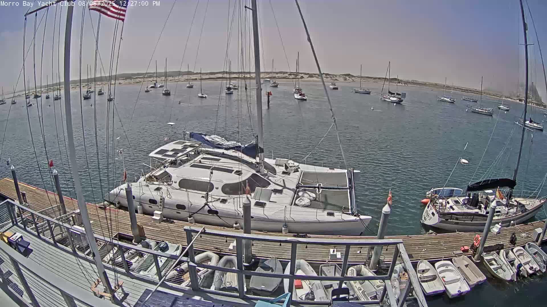 A large catamaran is docked at a marina on a sunny day, with numerous other sailboats moored nearby in calm water.