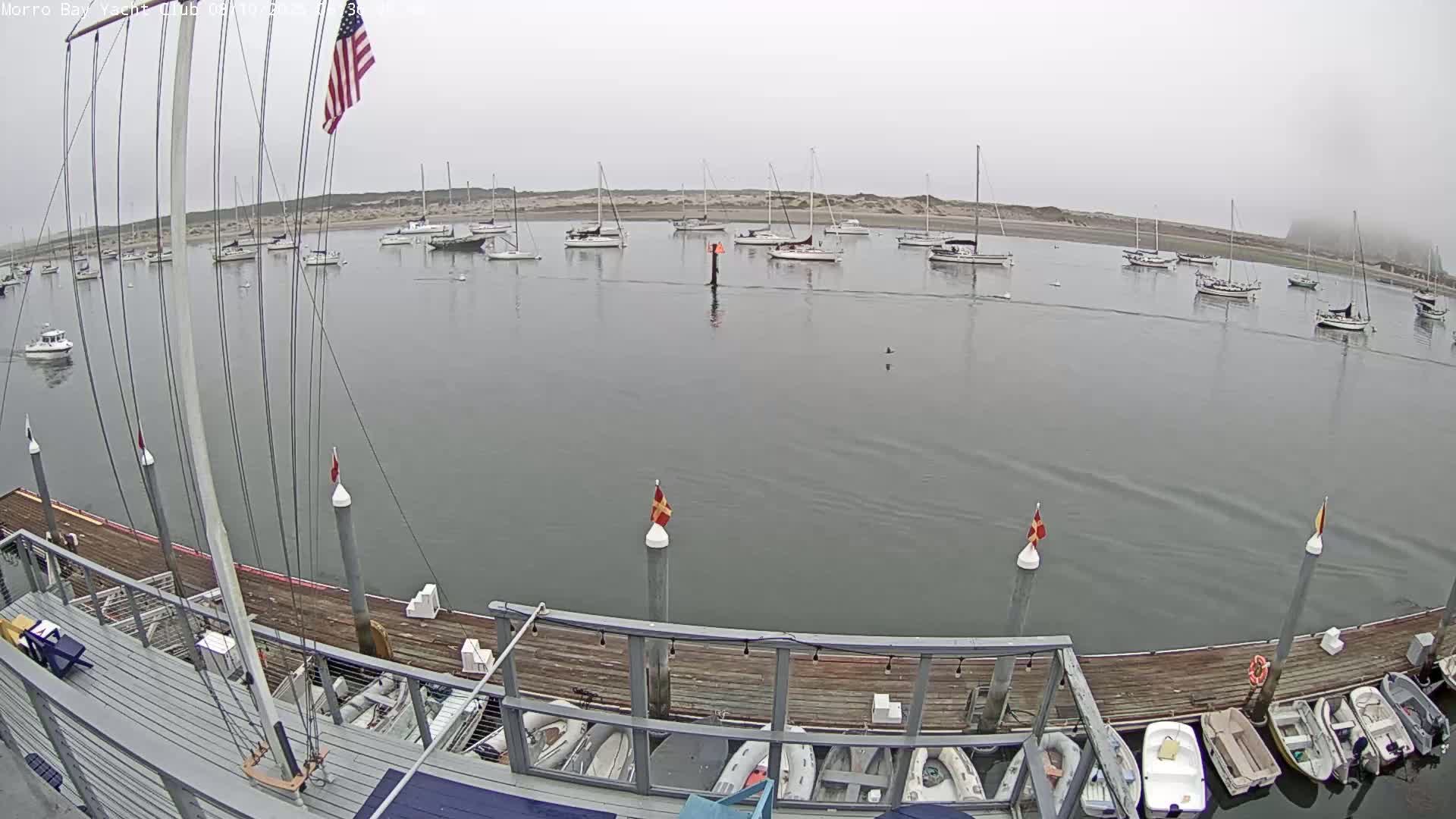 Morro Bay & Morro Bay Yatch Club Live Cam - Morro Bay, San Luis Obispo, California, USA