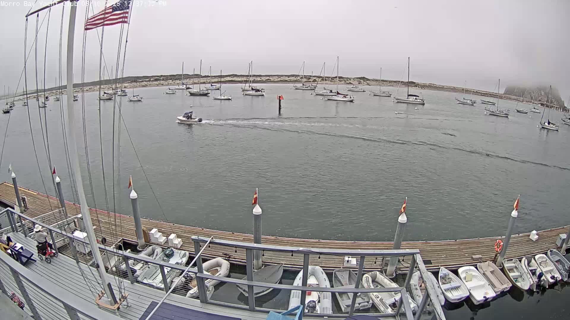 Morro Bay & Morro Bay Yatch Club Live Cam - Morro Bay, San Luis Obispo, California, USA