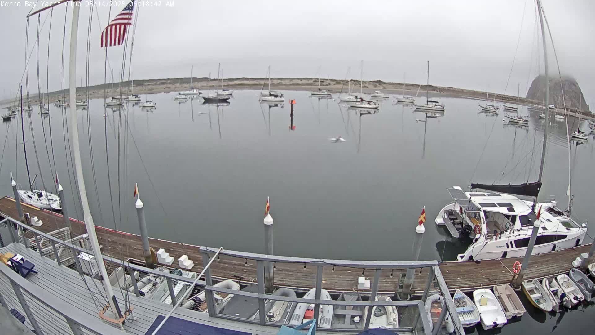 Morro Bay & Morro Bay Yatch Club Live Cam - Morro Bay, San Luis Obispo, California, USA