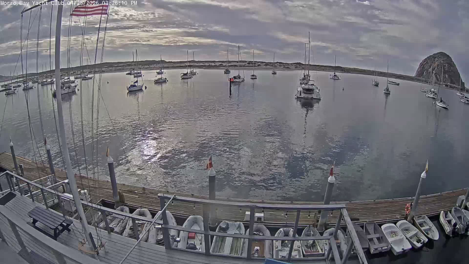 A tranquil bay, likely Morro Bay, is filled with numerous sailboats and smaller boats along a pier under a partly cloudy to overcast sky.
