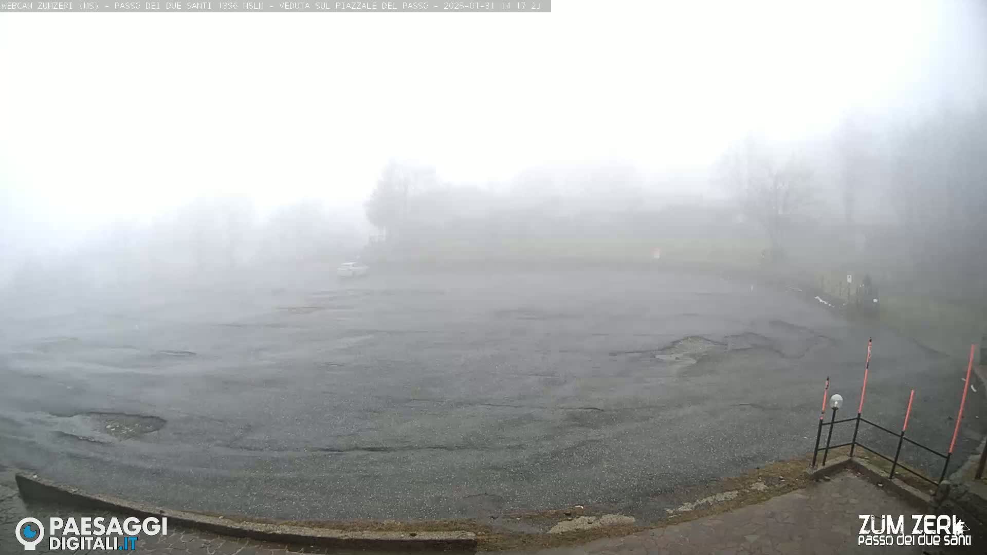 A foggy parking lot with a few visible cars is surrounded by indistinct trees and shrubs.