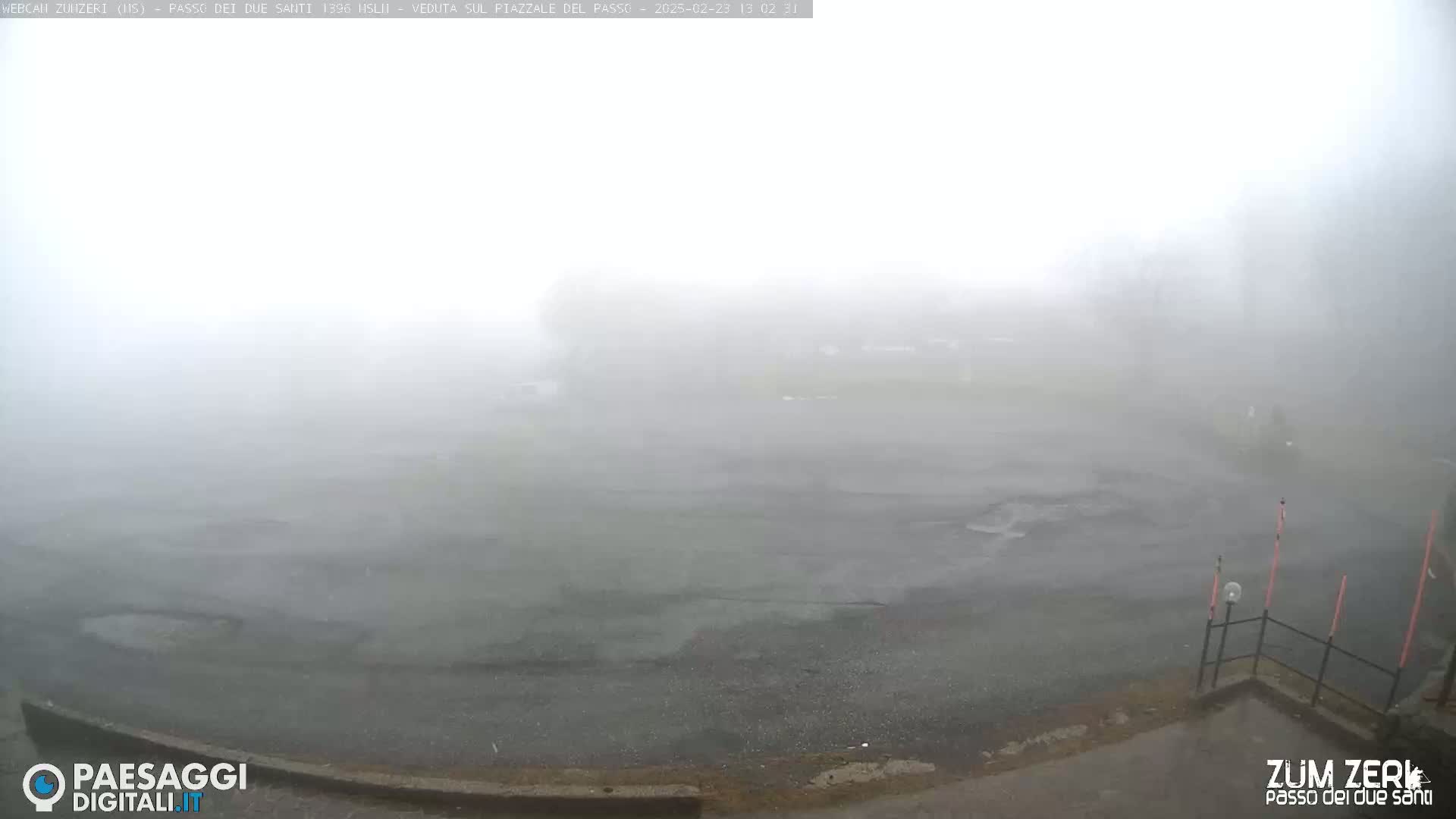 A foggy, wet parking lot is visible, with some indistinct vegetation in the background.
