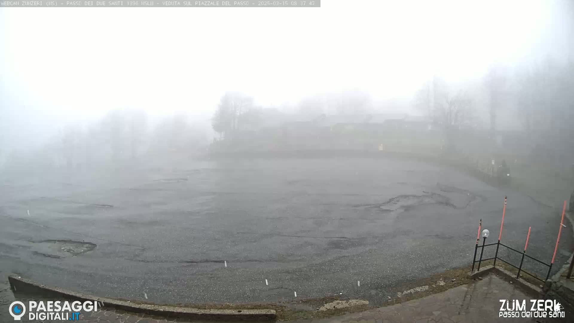 A foggy, wet asphalt area is visible, with indistinct trees and buildings in the background.