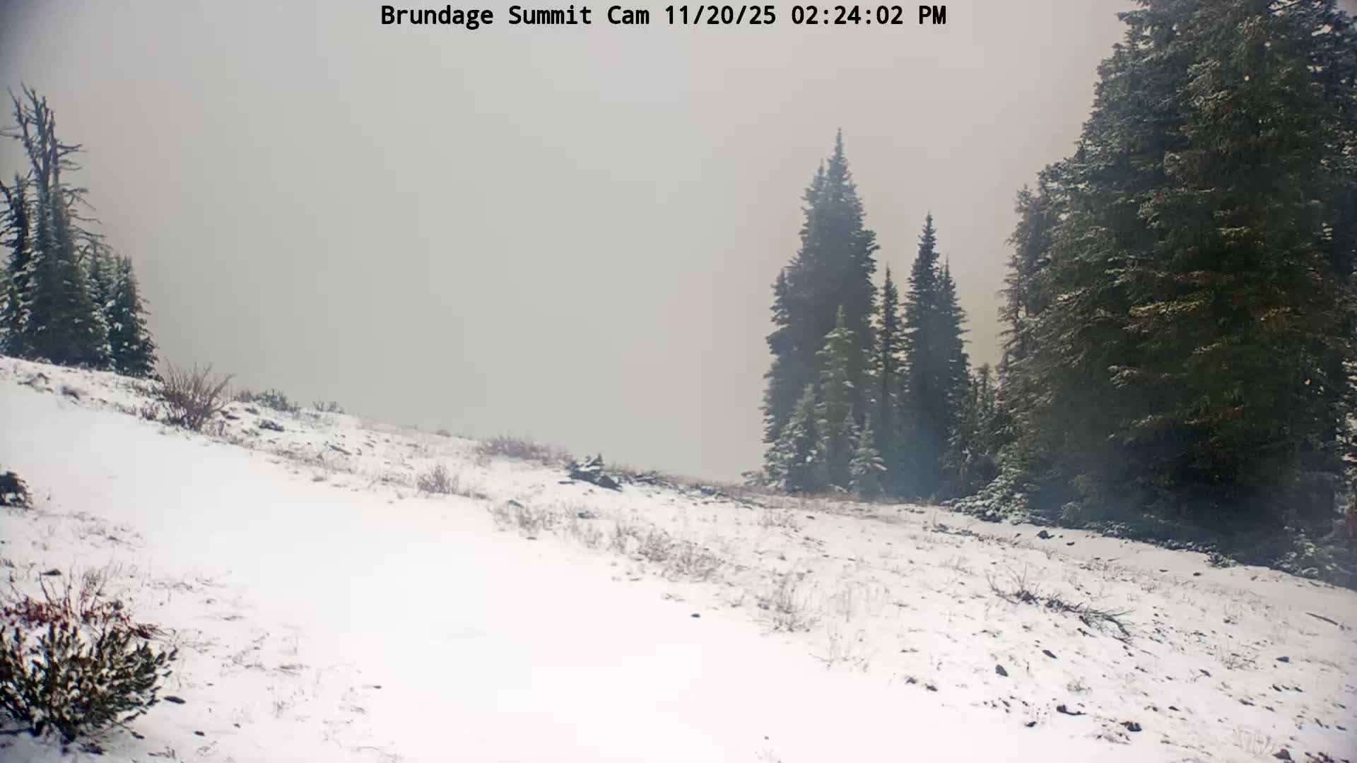 Brundage Mountain Summit Panaromic 360 View Live Cam - McCall, Valley, Idaho, USA