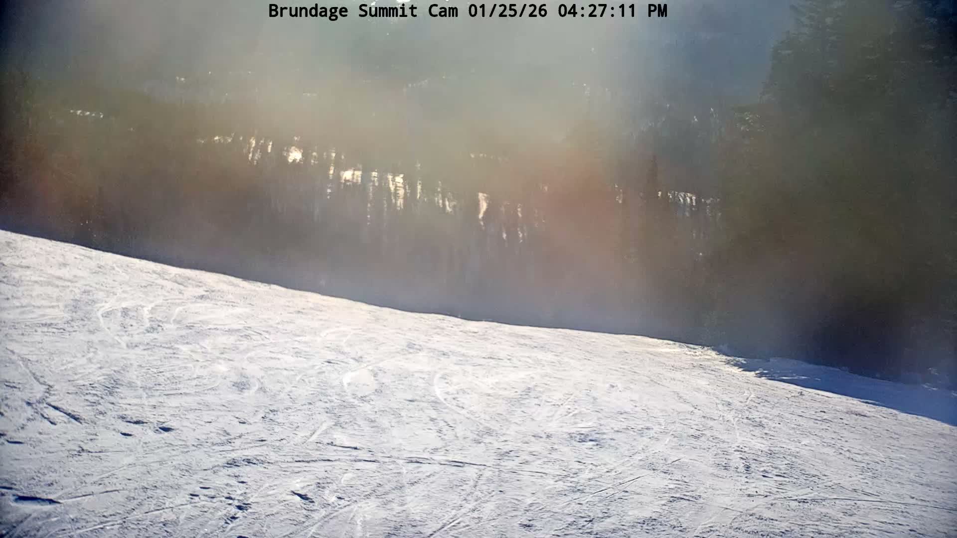 A snow-covered ski slope with numerous tracks stretches into the distance, meeting a dense forest of evergreen trees that are partially obscured by bright, hazy atmospheric conditions with diffuse sunlight.