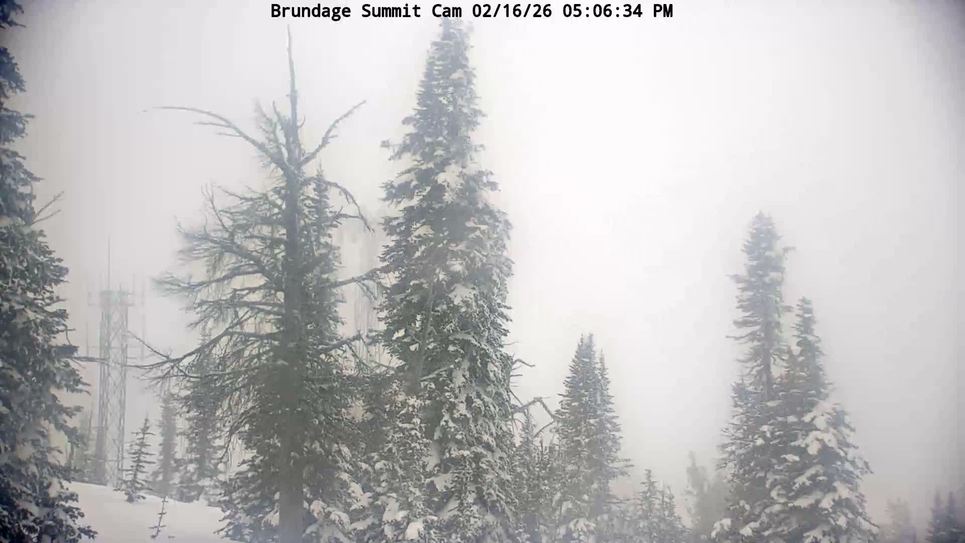 Brundage Mountain Summit Panaromic 360 View Live Cam - McCall, Valley, Idaho, USA
