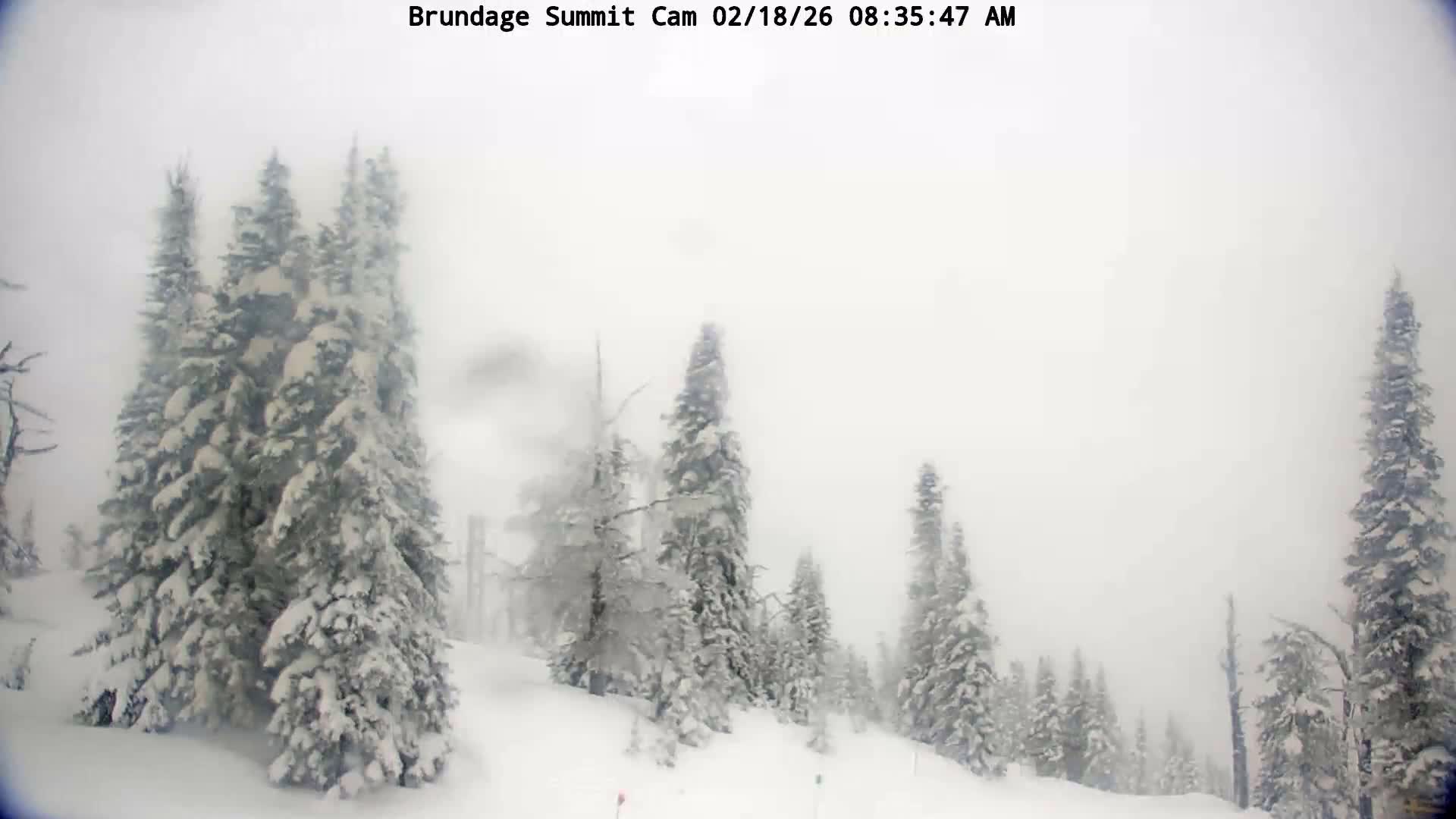 Brundage Mountain Summit Panaromic 360 View Live Cam - McCall, Valley, Idaho, USA