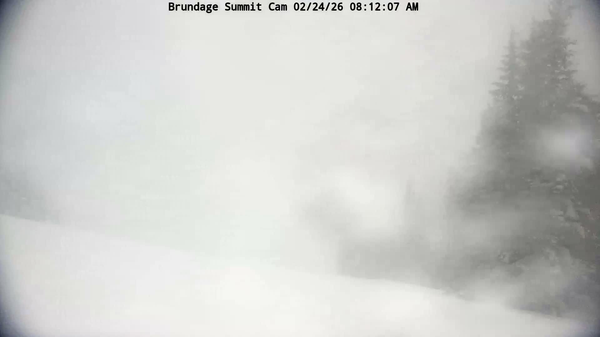 Brundage Mountain Summit Panaromic 360 View Live Cam - McCall, Valley, Idaho, USA