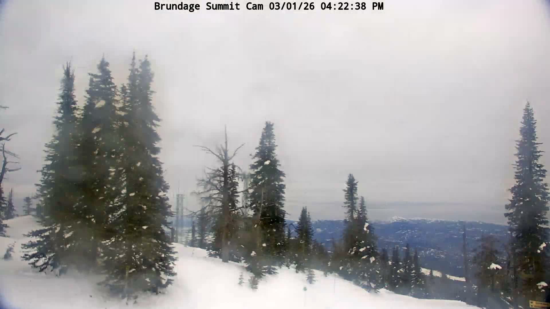 Brundage Mountain Summit Panaromic 360 View Live Cam - McCall, Valley, Idaho, USA