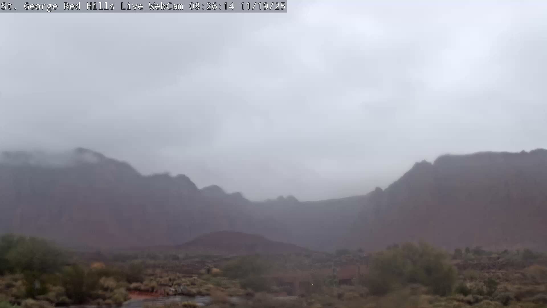 A dark, grainy outdoor scene at night features several bright lights visible through low visibility conditions, suggesting fog or heavy mist.