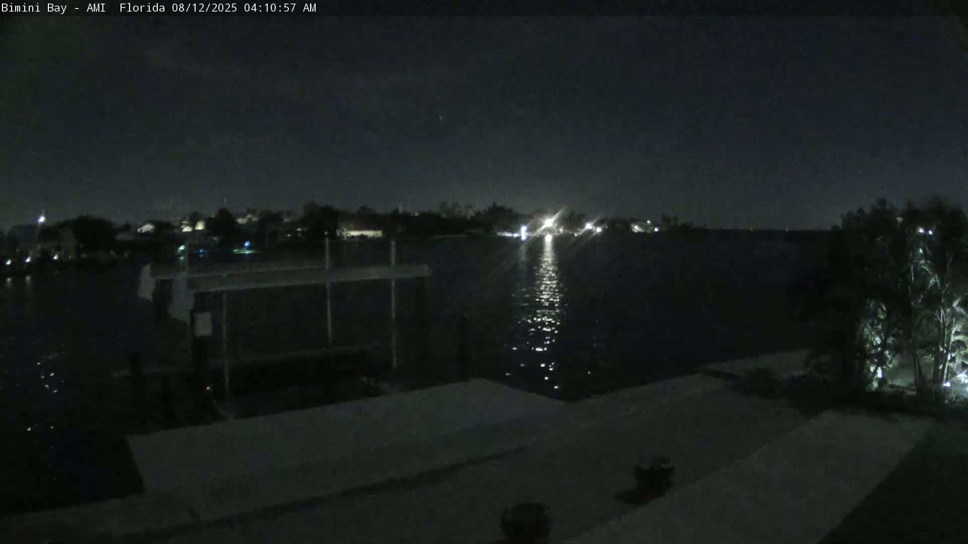 A nighttime view of a calm body of water, reflecting lights from a distant shoreline, seen from a dock under a clear, dark sky.