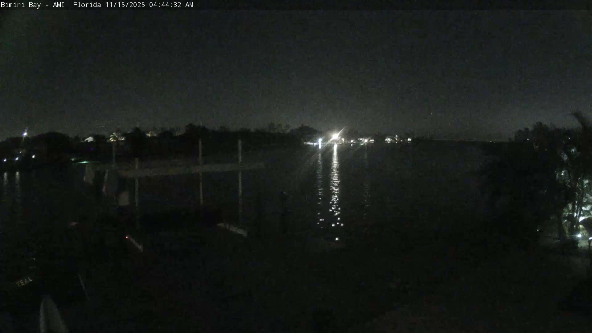 A clear, dark night scene features a calm body of water reflecting distant lights from the land and trees silhouetted on the distant shore.