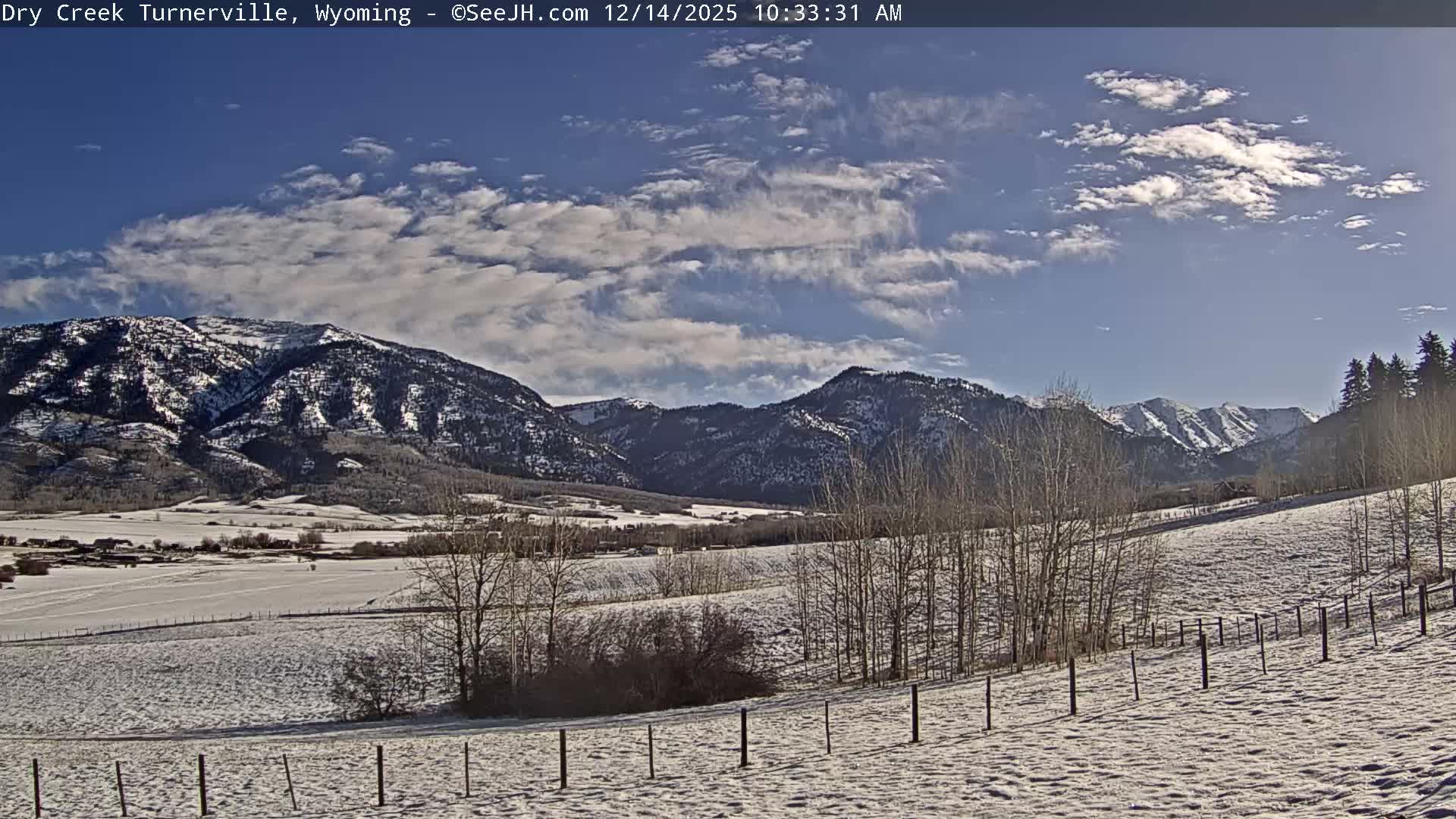 The image depicts a vast snow-covered landscape at night, featuring bare trees and distant scattered lights under a dark sky, indicating cold winter weather.