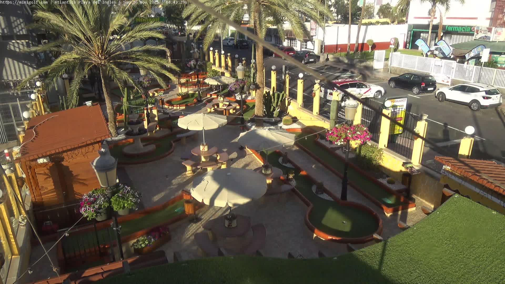 An outdoor mini-golf course with lush green fairways, numerous palm trees, and umbrella-shaded seating areas is visible under sunny conditions, with a street and parked cars in the background.