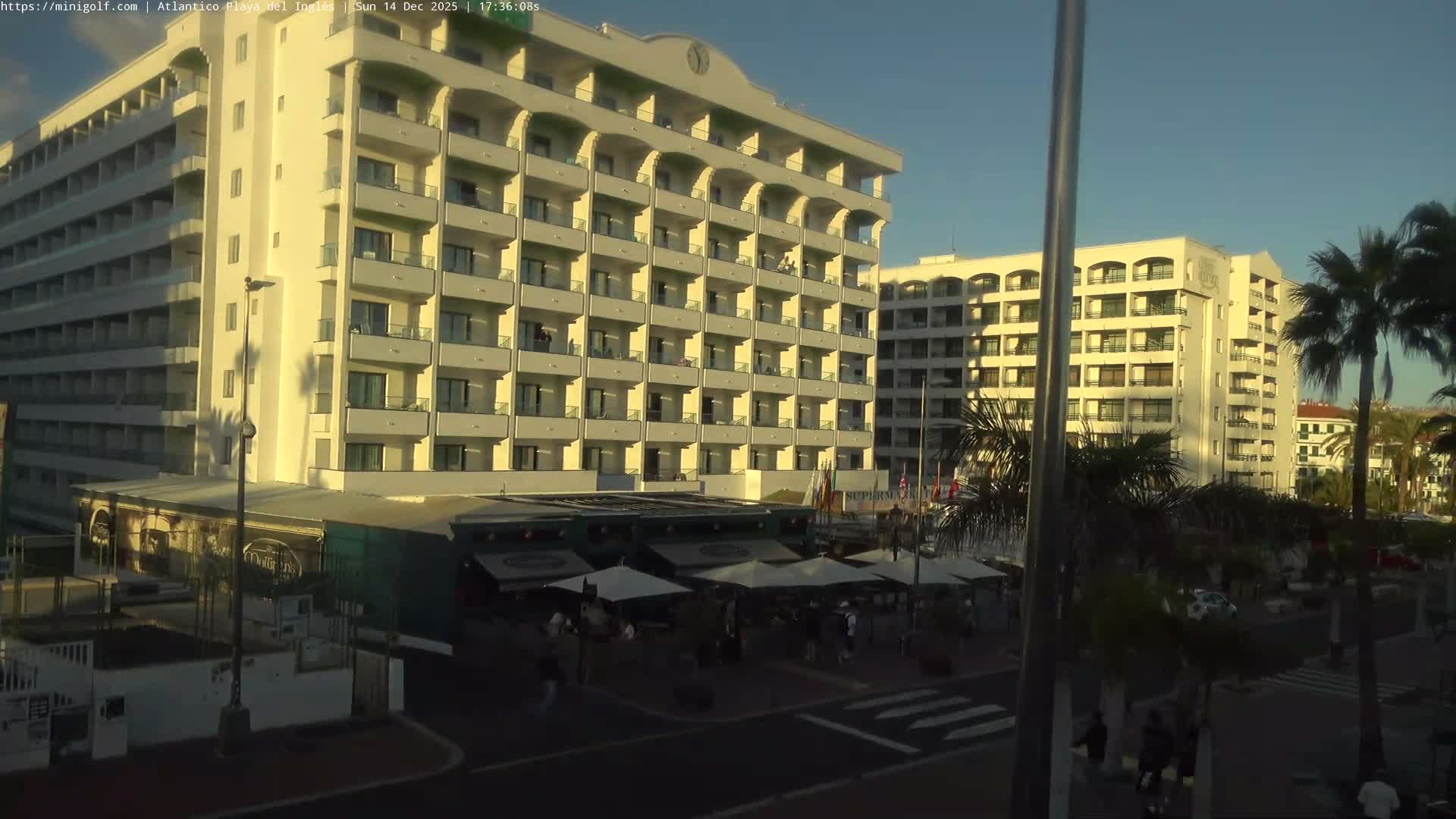 A bustling outdoor market street, lined with numerous white vendor tents, vans, cars, and palm trees, stretches towards distant buildings and the ocean under a bright, partly cloudy sky.