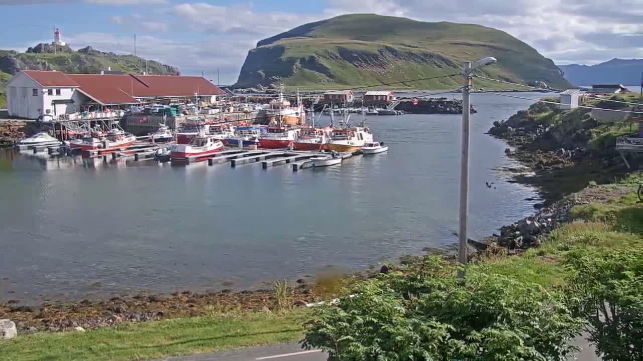 Kamøyvær (Kamoyvaer) Village & Nordkapp Havfiske (North Cape Sea Fishing Marina) Live Cam - Nordkapp, Vest-Finnmark, Finnmark, North Norway, Norway