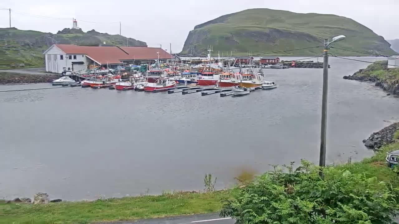 Kamøyvær (Kamoyvaer) Village & Nordkapp Havfiske (North Cape Sea Fishing Marina) Live Cam - Nordkapp, Vest-Finnmark, Finnmark, North Norway, Norway