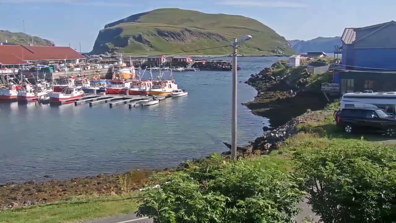 Kamøyvær (Kamoyvaer) Village & Nordkapp Havfiske (North Cape Sea Fishing Marina) Live Cam - Nordkapp, Vest-Finnmark, Finnmark, North Norway, Norway