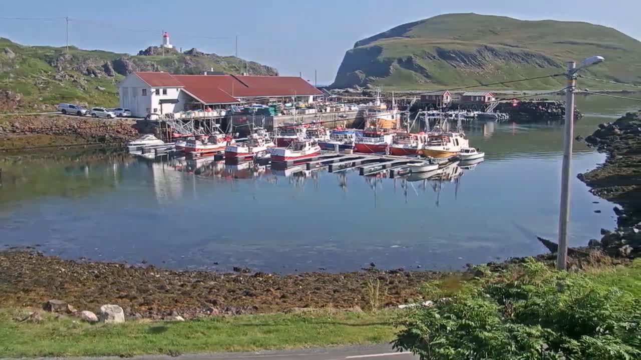 Kamøyvær (Kamoyvaer) Village & Nordkapp Havfiske (North Cape Sea Fishing Marina) Live Cam - Nordkapp, Vest-Finnmark, Finnmark, North Norway, Norway