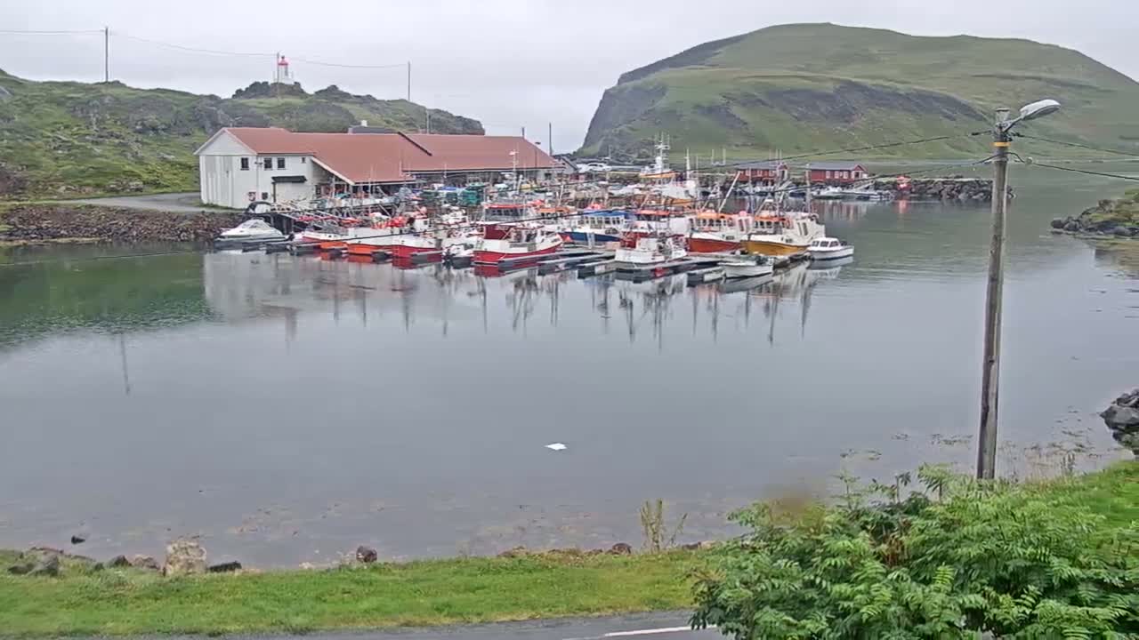 Kamøyvær (Kamoyvaer) Village & Nordkapp Havfiske (North Cape Sea Fishing Marina) Live Cam - Nordkapp, Vest-Finnmark, Finnmark, North Norway, Norway