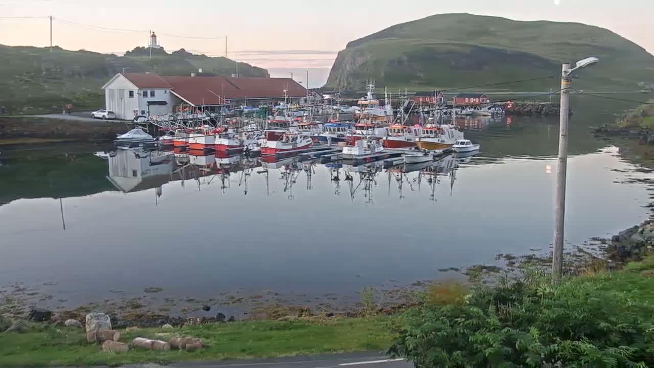 Many fishing boats are docked in a calm harbor next to a building and a lighthouse, with a hill in the background under a mostly clear, light sky.