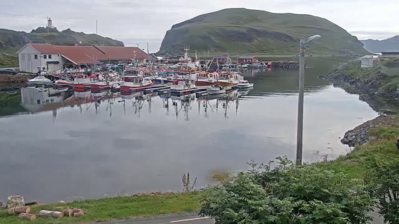 Kamøyvær (Kamoyvaer) Village & Nordkapp Havfiske (North Cape Sea Fishing Marina) Live Cam - Nordkapp, Vest-Finnmark, Finnmark, North Norway, Norway