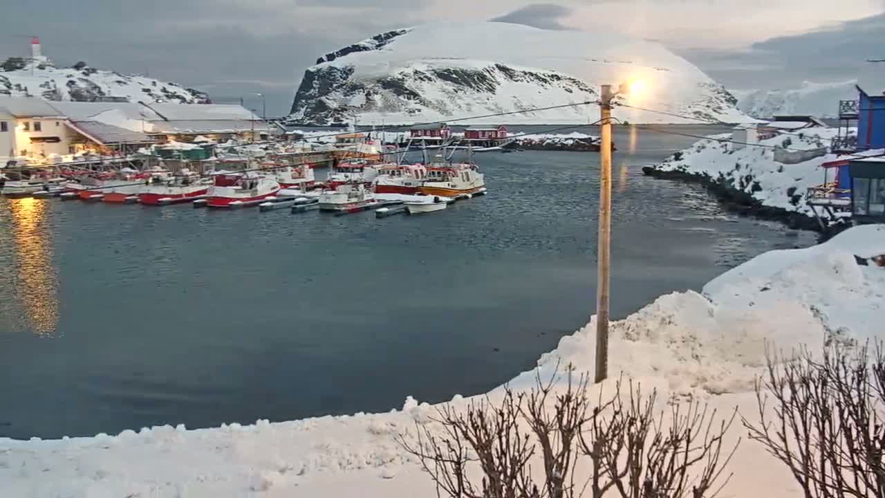 Kamøyvær (Kamoyvaer) Village & Nordkapp Havfiske (North Cape Sea Fishing Marina) Live Cam - Nordkapp, Vest-Finnmark, Finnmark, North Norway, Norway