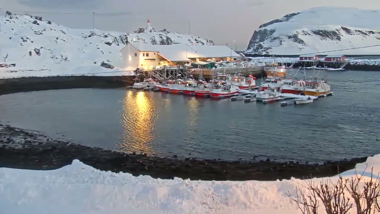 Kamøyvær (Kamoyvaer) Village & Nordkapp Havfiske (North Cape Sea Fishing Marina) Live Cam - Nordkapp, Vest-Finnmark, Finnmark, North Norway, Norway