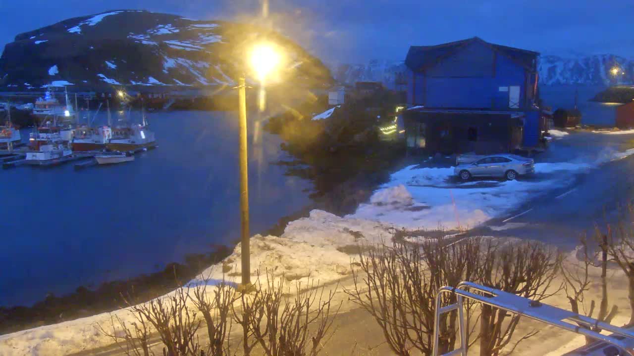 A snowy harbor scene features numerous fishing boats docked by brightly lit buildings with warm reflections on the water, all nestled among snow-covered mountains under an overcast sky.