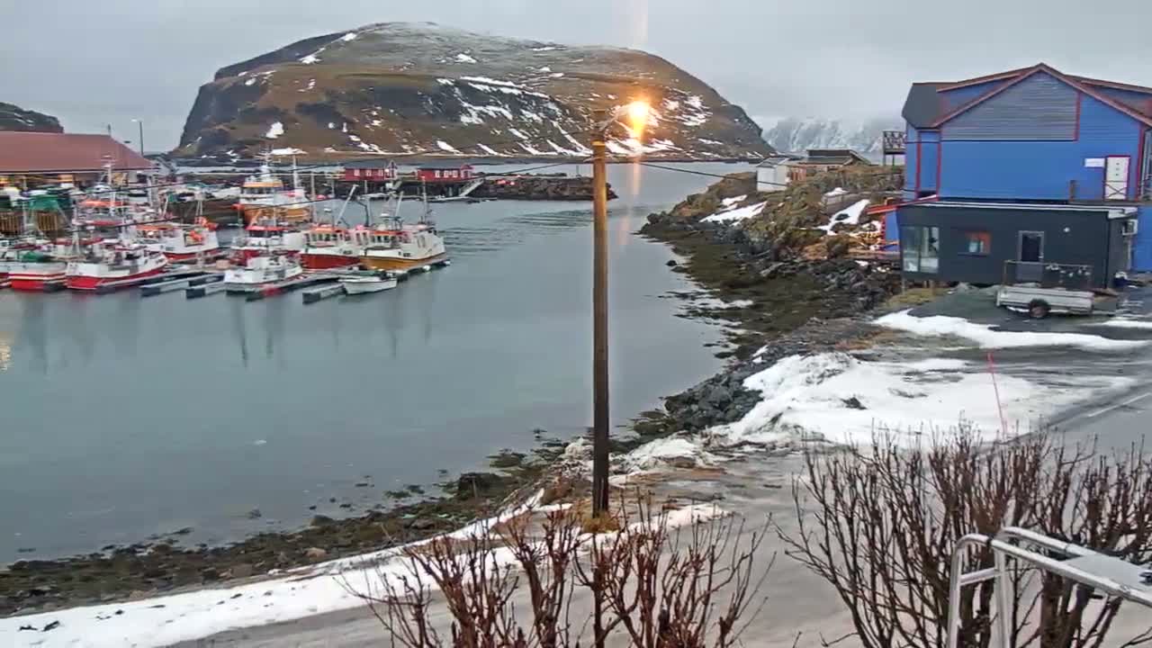 Kamøyvær (Kamoyvaer) Village & Nordkapp Havfiske (North Cape Sea Fishing Marina) Live Cam - Nordkapp, Vest-Finnmark, Finnmark, North Norway, Norway