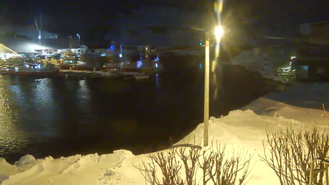 Kamøyvær (Kamoyvaer) Village & Nordkapp Havfiske (North Cape Sea Fishing Marina) Live Cam - Nordkapp, Vest-Finnmark, Finnmark, North Norway, Norway