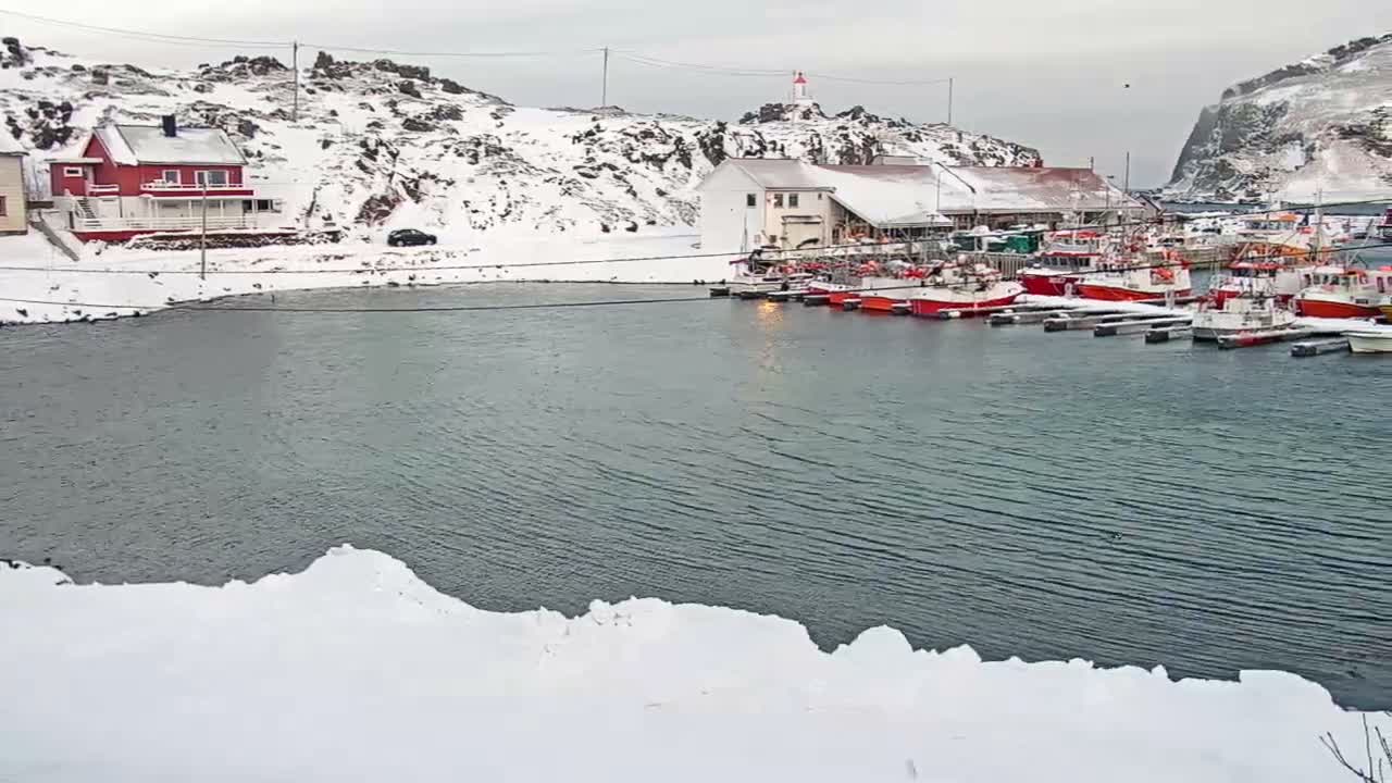 Kamøyvær (Kamoyvaer) Village & Nordkapp Havfiske (North Cape Sea Fishing Marina) Live Cam - Nordkapp, Vest-Finnmark, Finnmark, North Norway, Norway