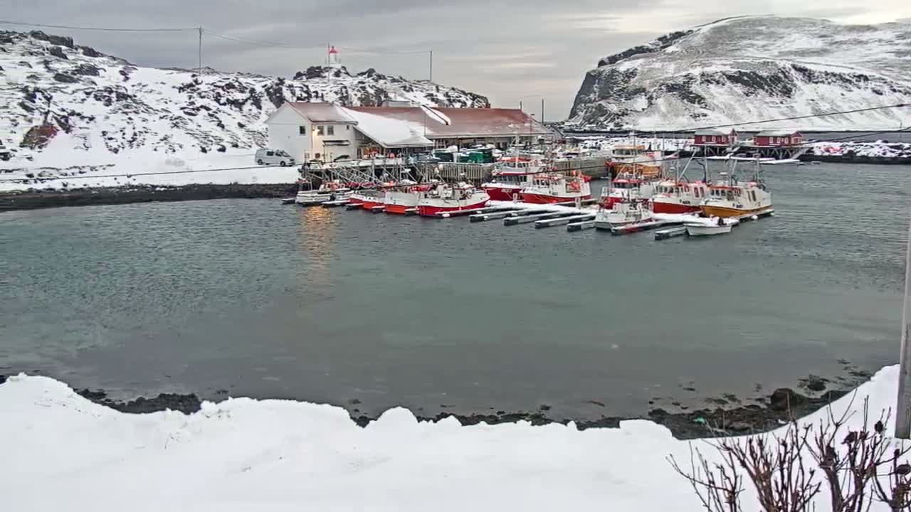 Kamøyvær (Kamoyvaer) Village & Nordkapp Havfiske (North Cape Sea Fishing Marina) Live Cam - Nordkapp, Vest-Finnmark, Finnmark, North Norway, Norway