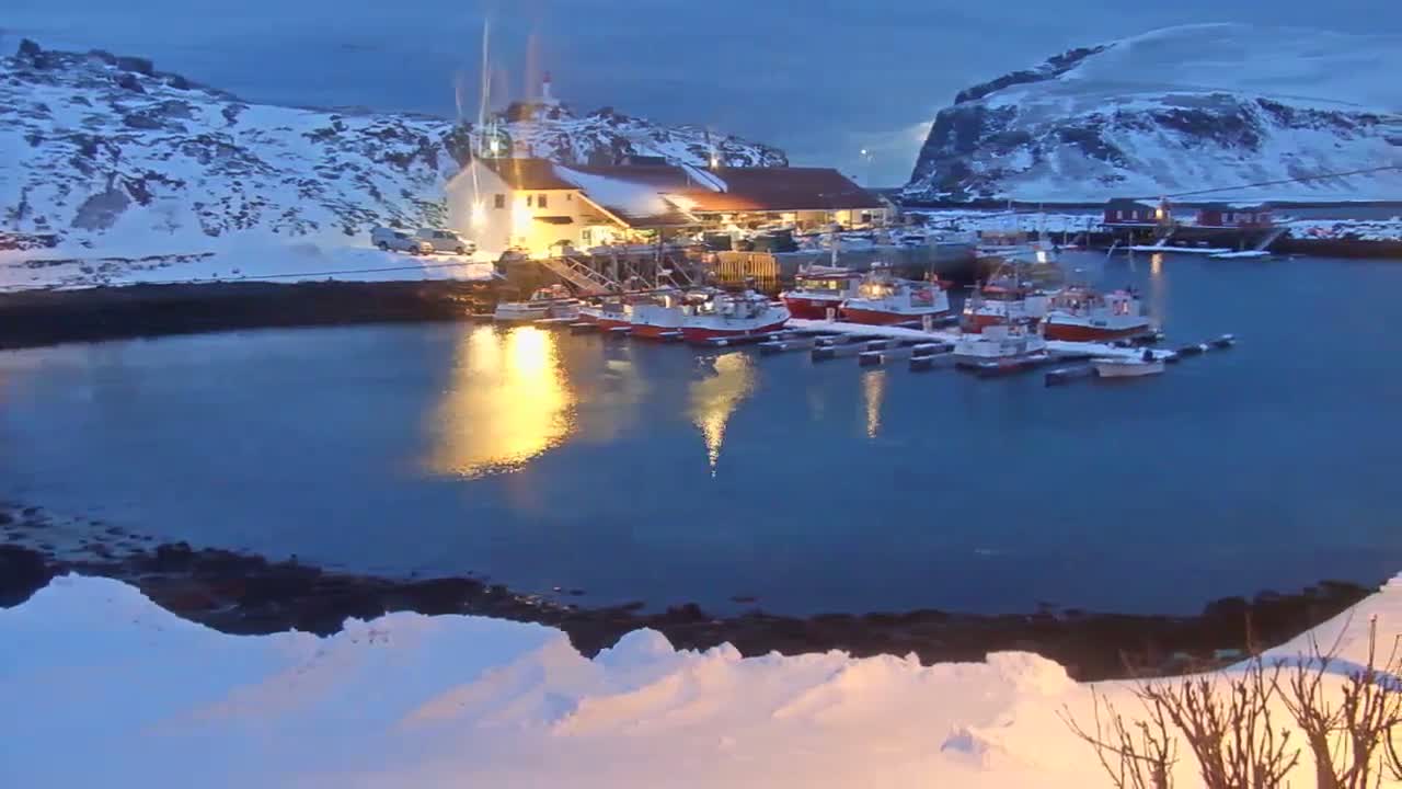Kamøyvær (Kamoyvaer) Village & Nordkapp Havfiske (North Cape Sea Fishing Marina) Live Cam - Nordkapp, Vest-Finnmark, Finnmark, North Norway, Norway