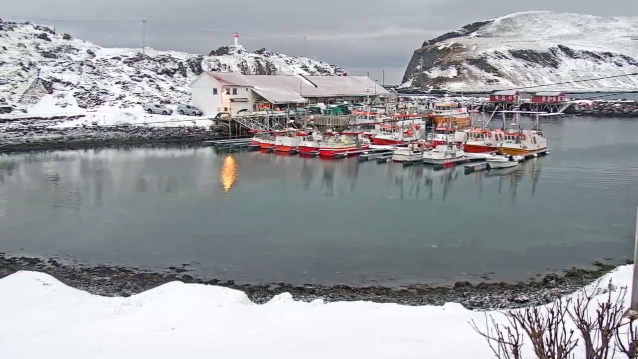 Kamøyvær (Kamoyvaer) Village & Nordkapp Havfiske (North Cape Sea Fishing Marina) Live Cam - Nordkapp, Vest-Finnmark, Finnmark, North Norway, Norway
