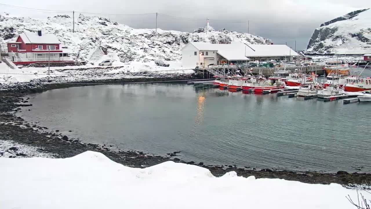 Kamøyvær (Kamoyvaer) Village & Nordkapp Havfiske (North Cape Sea Fishing Marina) Live Cam - Nordkapp, Vest-Finnmark, Finnmark, North Norway, Norway