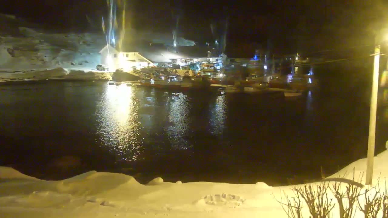 Kamøyvær (Kamoyvaer) Village & Nordkapp Havfiske (North Cape Sea Fishing Marina) Live Cam - Nordkapp, Vest-Finnmark, Finnmark, North Norway, Norway