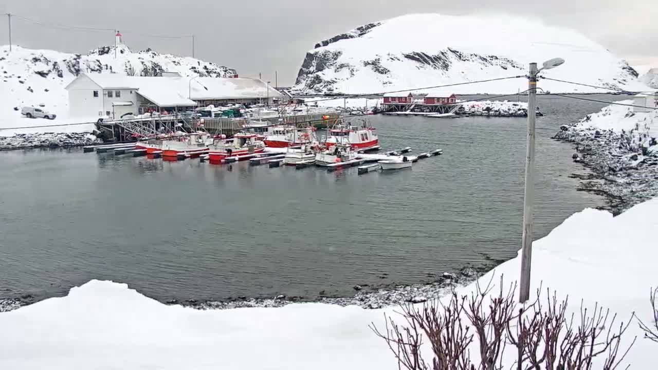 Kamøyvær (Kamoyvaer) Village & Nordkapp Havfiske (North Cape Sea Fishing Marina) Live Cam - Nordkapp, Vest-Finnmark, Finnmark, North Norway, Norway
