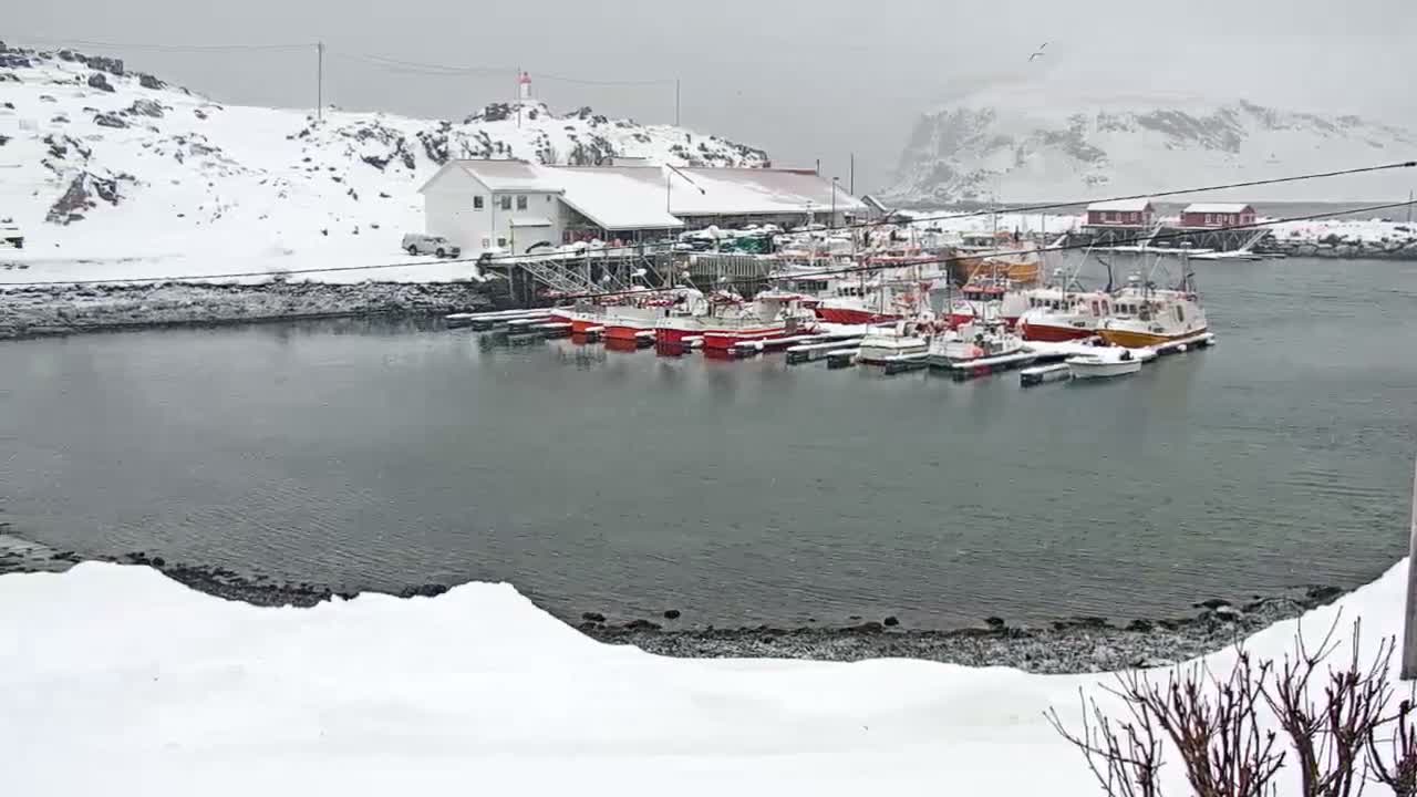 Kamøyvær (Kamoyvaer) Village & Nordkapp Havfiske (North Cape Sea Fishing Marina) Live Cam - Nordkapp, Vest-Finnmark, Finnmark, North Norway, Norway