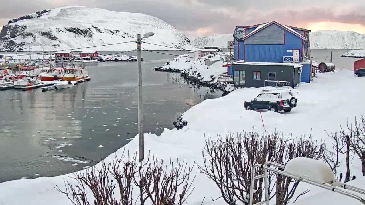 Kamøyvær (Kamoyvaer) Village & Nordkapp Havfiske (North Cape Sea Fishing Marina) Live Cam - Nordkapp, Vest-Finnmark, Finnmark, North Norway, Norway
